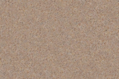 S-206 Wet Sand